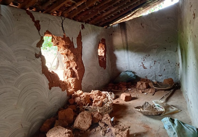 7 हाथियों का उत्पात जारी, किसान का घर तोड़ा, एक्सपर्ट बोले- इन उपायों से हाथी नहीं आते पास