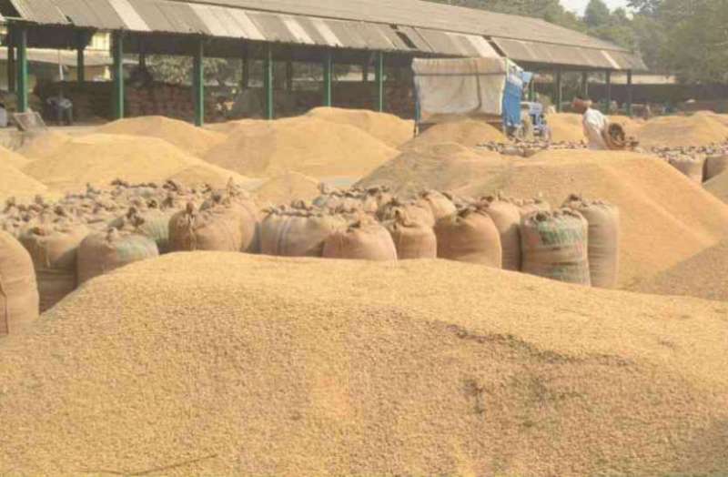 Paddy Procurement 