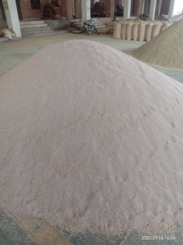 PSYLLIUM---जोधपुर में नहीं बनेगी इसबगोल की विशिष्ट मंड़ी
