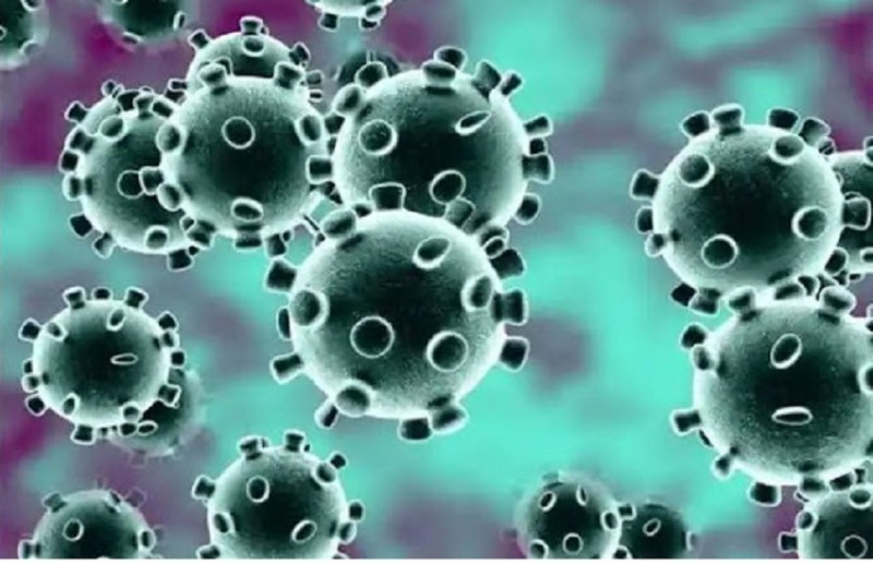 कोरोना वायरस (प्रतीकात्मक फोटो)