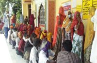 20 panchayats elected chief in bhilwara