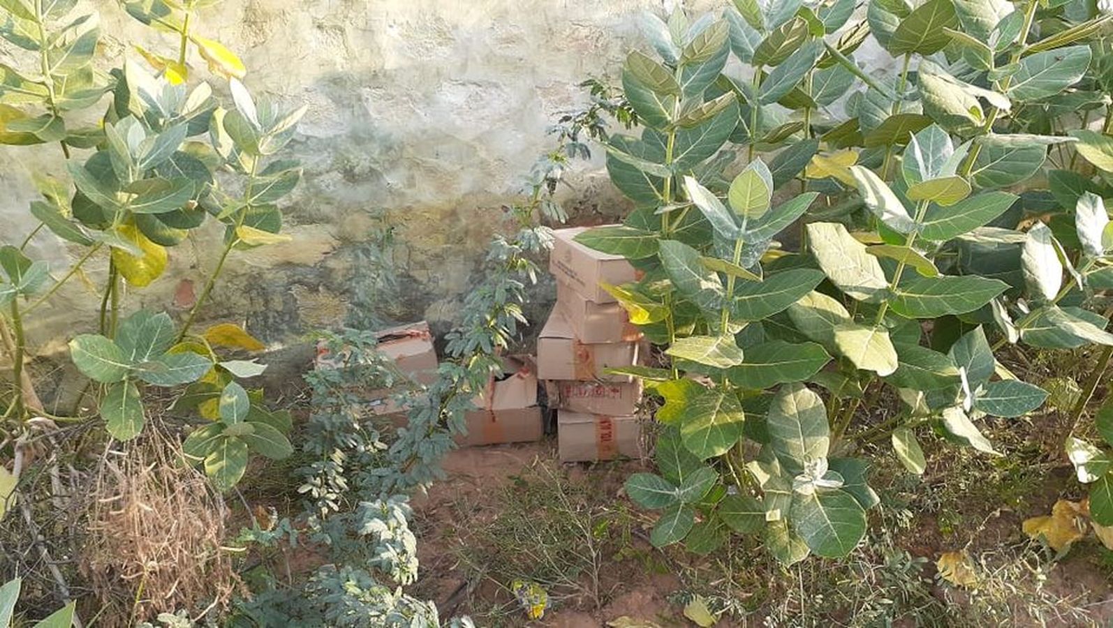 आक के पेड़ों की ओट में रखी शराब की 17 पेटियां जब्त