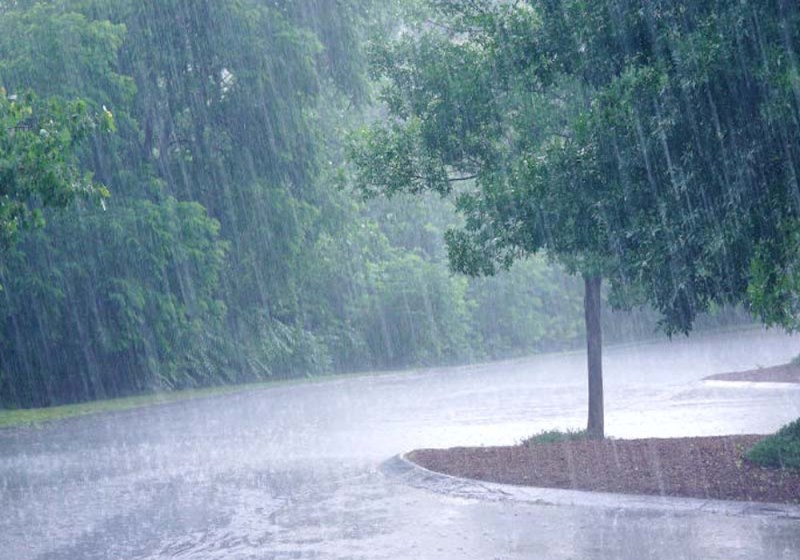 इस बार कम रही मानसून की मेहरबानी, कहीं जमकर बरसे बदरा तो कहीं बारिश को तरसे जिले