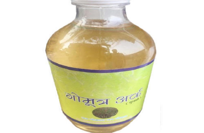 गौमूत्र अर्क करता है कफज और पेट के रोगों को दूर