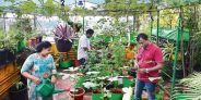 युवाओं में अर्बन फोरेस्ट और आर्गेनिक फार्मिंग का बढ़ रहा क्रेज
