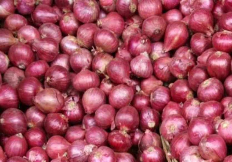 महंगी हो रही सब्जियां, प्याज के दाम छू रहे आसमान, बढ़ते दामों पर नियंत्रण के लिए सरकार खोलेगी सस्ते बिक्री केंद्र
