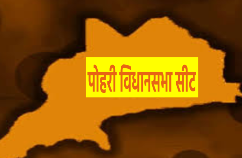 पोहरी विधानसभा सीट: यहां धाकड़ और ब्राह्मण वोटर्स का दबदबा