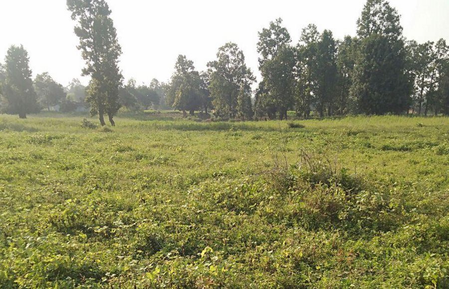 5 company ready for coal mining in Bandha-Dhirauli Singrauli village