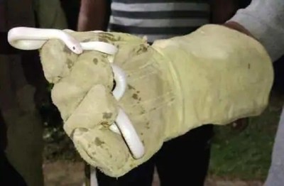 देश की ऐसी जेल जहां कैदियों के साथ जेलकर्मियों को भी सताता रहता है डर