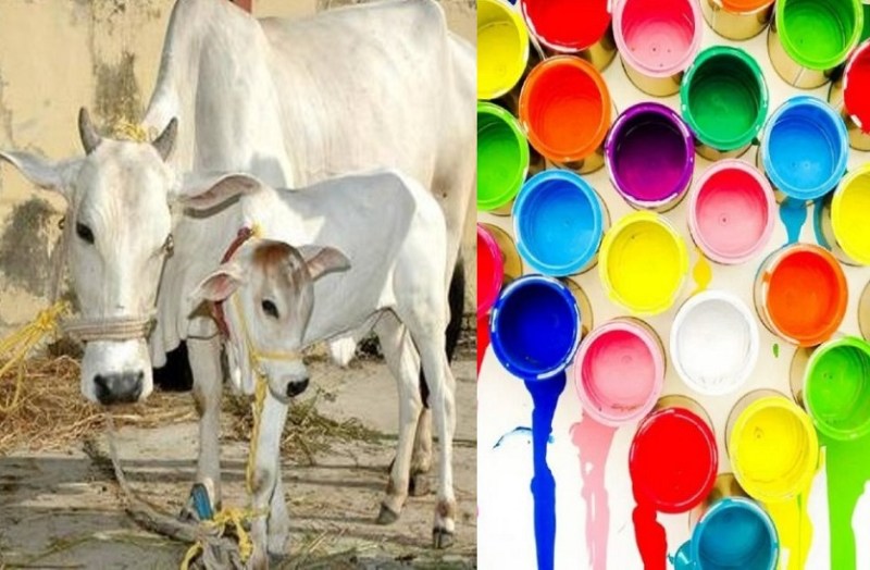 Organic Vedic Paint introduced by Khadi Gram Udhyog in Rajasthan