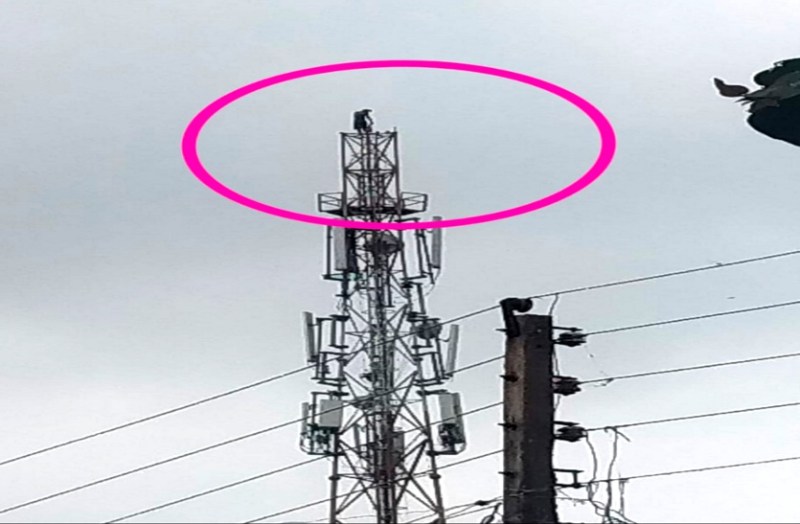 शादी की तारीख तय नहीं हुई तो 150 फीट ऊंचे टावर से कूदकर युवक ने दे दी जान, देखते रह गए ग्रामीण