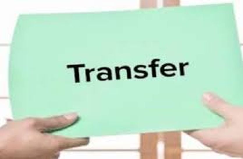 transfer.jpg