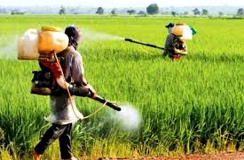 किसान की आत्महत्या से कृषि विभाग की कार्यशैली पर बड़ा सवाल, नकली दवा की जांच के लिए सालभर में सिर्फ 6 दुकानों से लिया सैंपल