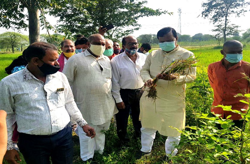 किसान आत्महत्या: प्रशासन की जांच से नाखुश भाजपा की 3 सदस्यीय टीम पहुंची मातरोडीह, कहा 25 नहीं 60% फसल बर्बाद, शर्मनाक घटना पर पर्दा डाल रही सरकार