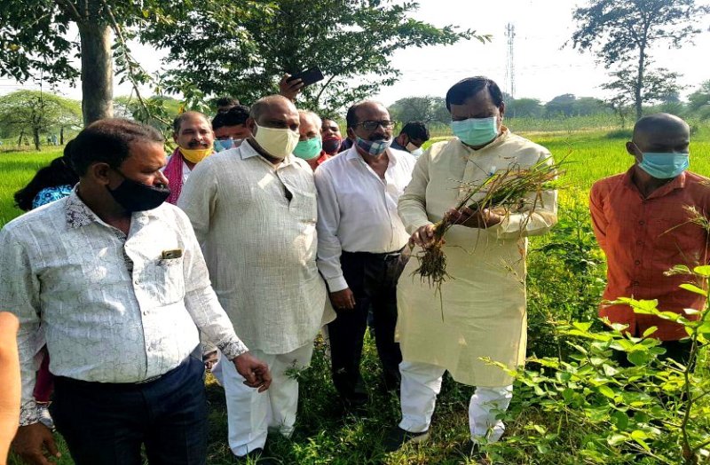 किसान आत्महत्या: प्रशासन की जांच से नाखुश भाजपा की 3 सदस्यीय टीम पहुंची मातरोडीह, कहा 25 नहीं 60% फसल बर्बाद, शर्मनाक घटना पर पर्दा डाल रही सरकार