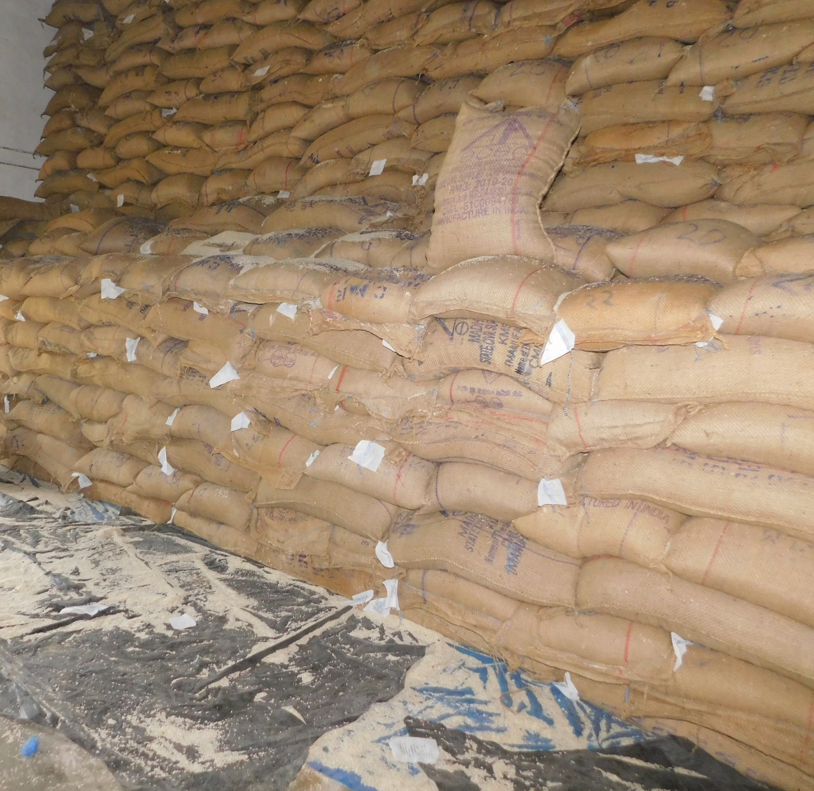 Millers lift 23 thousand 607 quintals of rice