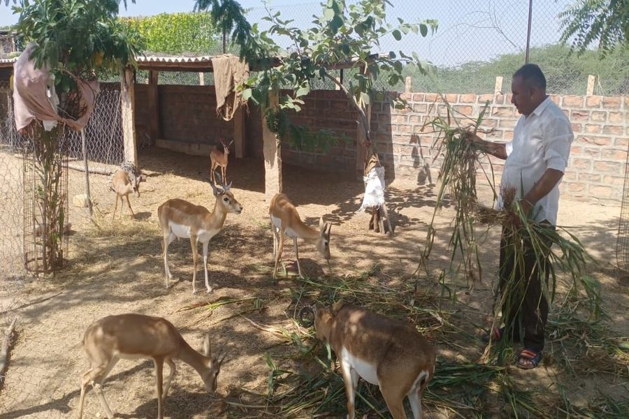 सरकार से नहीं मिली मदद तो भामाशाहों के सहयोग से बना दिया वन्यजीव रेस्क्यू सेंटर