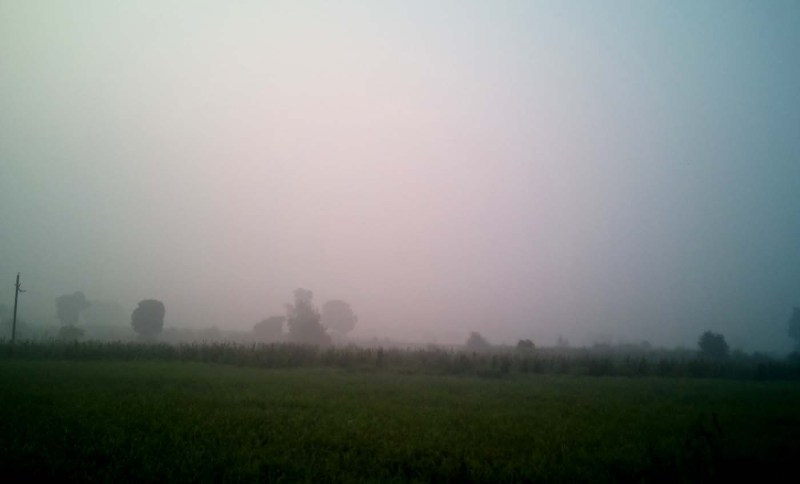 रात में ठंड तो दिन में चटख धूप से मौसम में उतार चढ़ाव, जानें आगे कैसा रहेगा मौसम