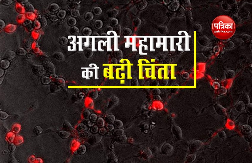 Are you ready for next pandemic, most of Indians thinks farm animals it's reason