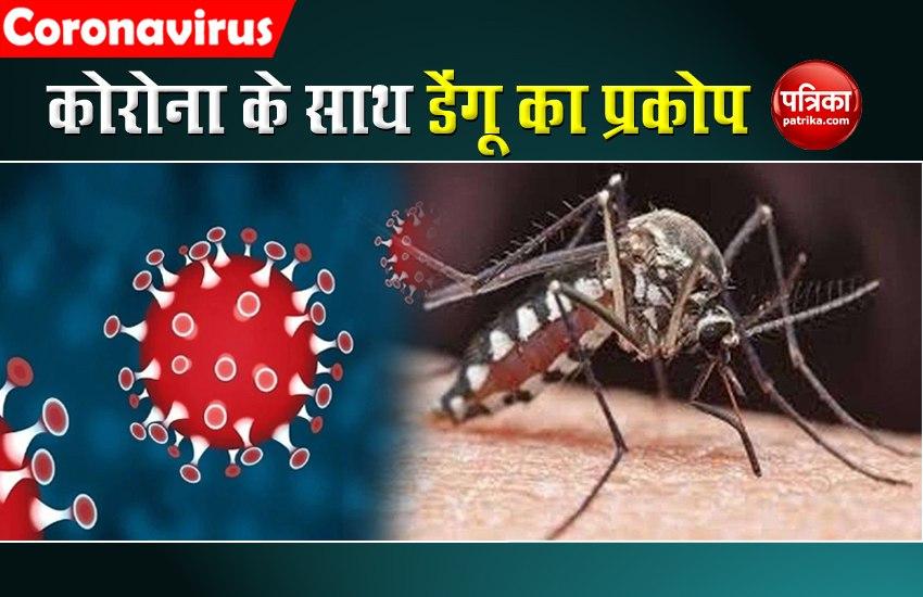 dengue attack in india