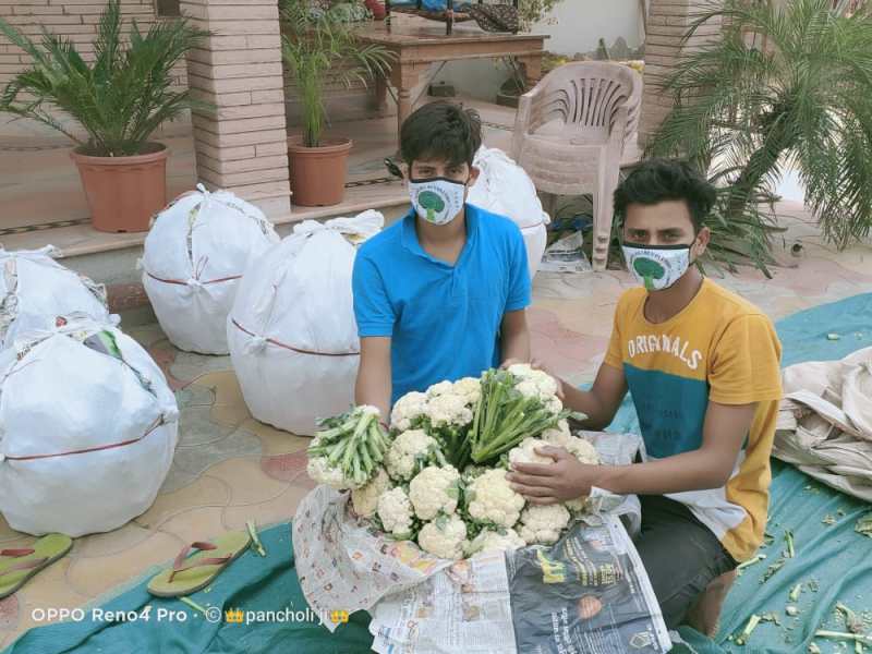 लॉकडाउन में हुआ था नुकसान लेकिन फूलगोभी की बम्पर पैदावार से उम्मीद