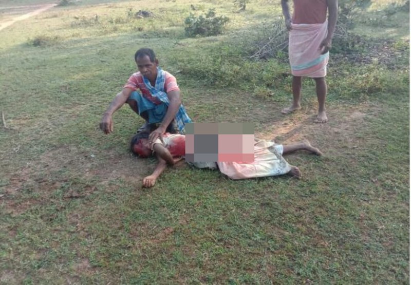 हाथी ने जंगल गई किशोरी को सूंड से उठाकर पटका, जान बचाकर भागीं 3 सहेलियां, वन विभाग लोगों को नहीं कर पा रहा अलर्ट