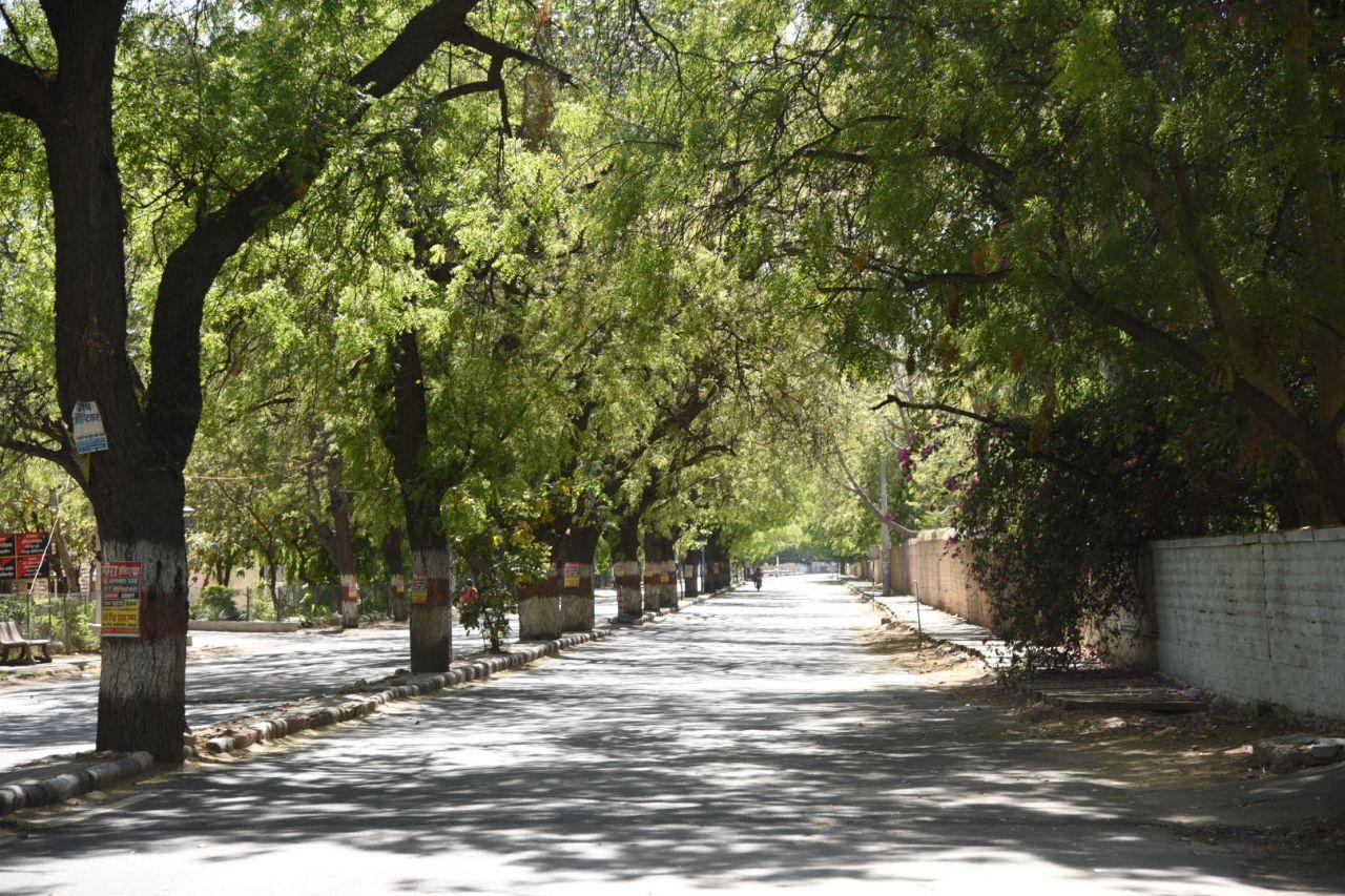 रात का पारा 3 डिग्री गिरा, दिन का 4 डिग्री चढ़ा