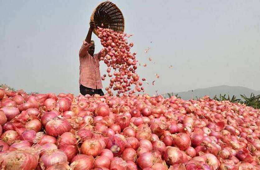 Rajasthan Red Onion Demand In Whole Country