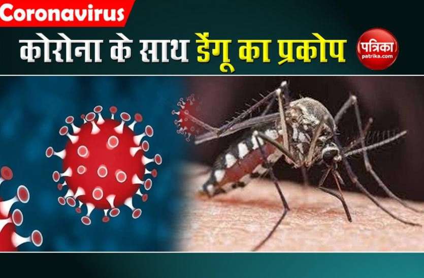 Dengue Attack During Corona Pandemic In Rajasthan