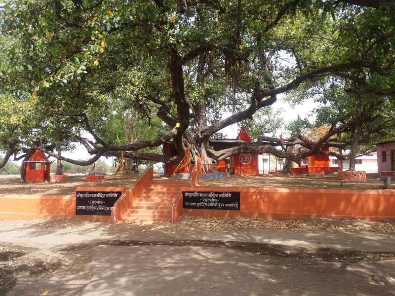 आधुनिक खेती, व्यापार व प्राकृतिक सौंदर्य ने रहटगांव को बनाया संपन्न