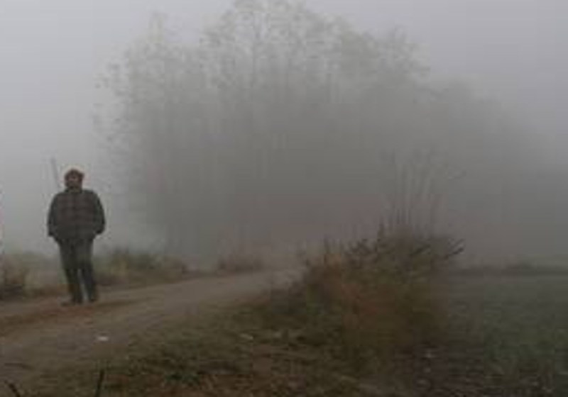 Weather Forecast: यूपी के कई जिलों में ठंड की दस्तक, मौसम विभाग का अलर्ट पश्चिमी विक्षोभ की वजह से रात में और बढ़ेगी ठंड