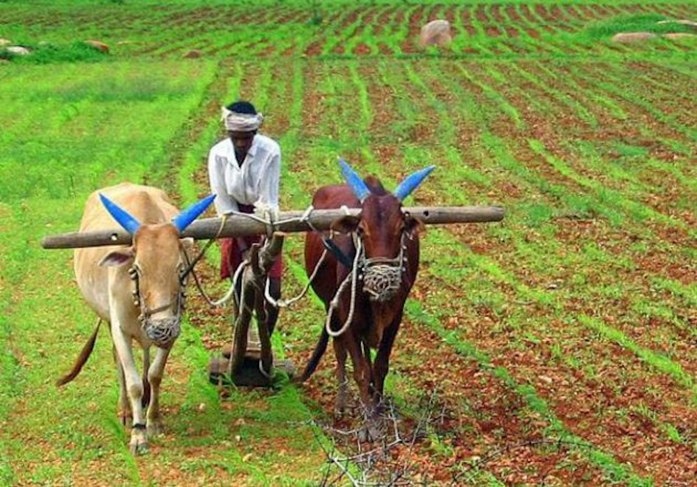 किसानों के लिए सरकार का बड़ा तोहफा, खाद सब्सिडी के लिए मिलेंगे सालाना 60 हजार रुपये