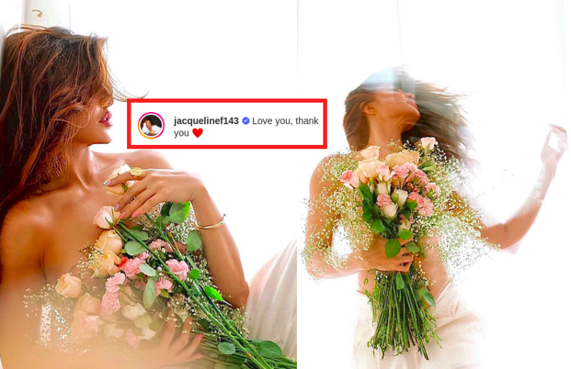 Jacqueline Fernandez के इंस्टाग्राम पर हुए 46 मिलियन फॉलोअर्स, खास फैंस के लिए शेयर की फोटोज