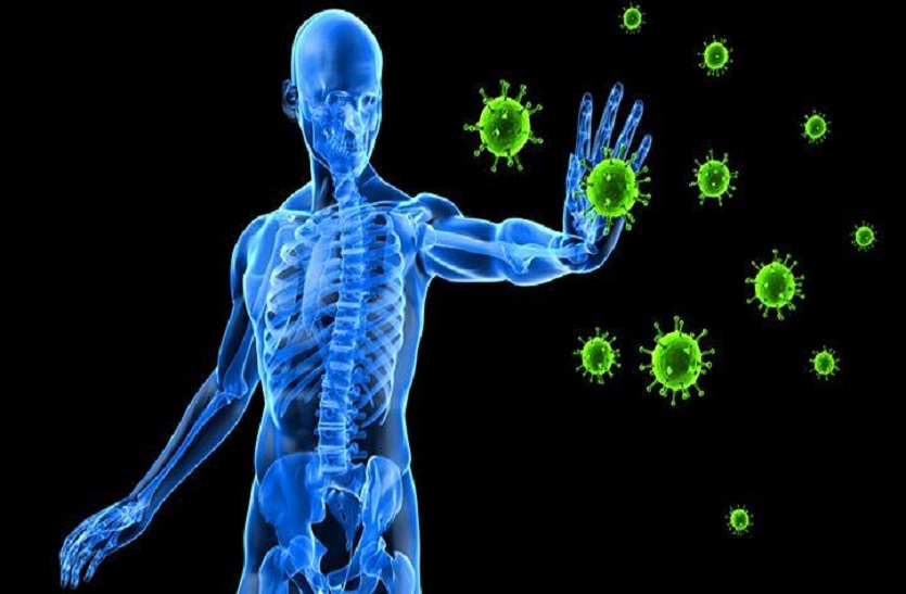 Unani Tips: एक चम्मच शहद के साथ केसर रोज लेने से भी बढ़ती है इम्युनिटी
