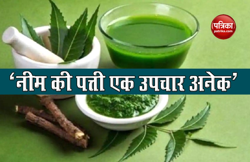 मुंहासे, रूसी और पसीने की दुर्गंध से छुटकारा पाना चाहते हैं तो नीम को ऐसे करें इस्तेमाल