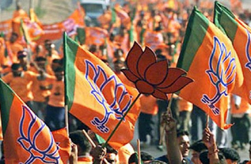 FIR lodged against BJP candidate for using fake documents in election