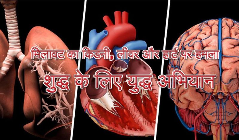 मिलावट का किडनी, लीवर और हार्ट पर हमला, स्वास्थ्य को पहुंचा रही नुकसान