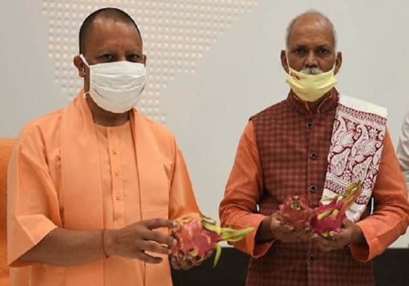 इस किसान ने इस फ्रूट की खेती से अपनी कमाई आठ गुना बढ़ाई, यह जानकर सीएम योगी हुए बहुत खुश
