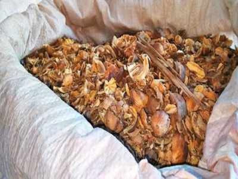 ट्रक से 650 किलो डोडा पोस्त व दो लाख रुपए जब्त