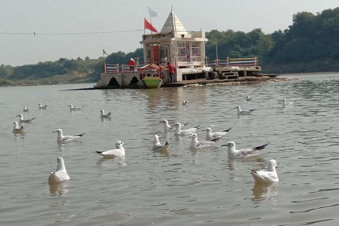 Good news: Bacteria reduced in Narmada water, ideal in Lalpur, Tilwara