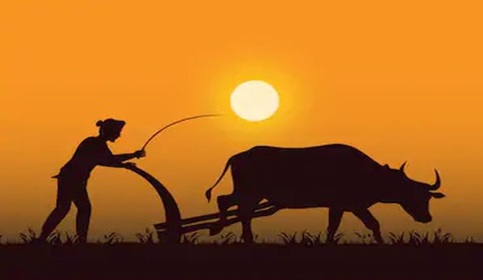 FARMER NEWS--प्रदेश के कृषि आयुक्त ने जिला कृषि उपनिदेशकों से तलब की रिपोर्ट
