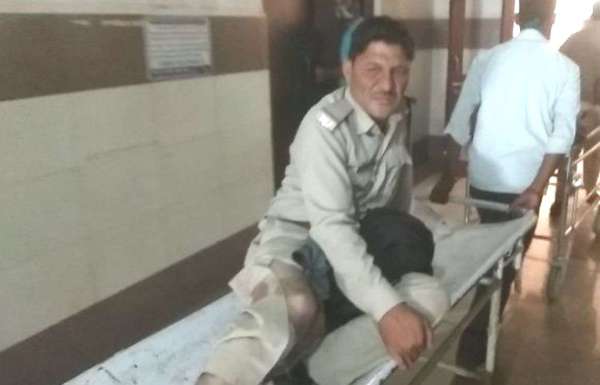  Encroachers attacked forest administration team in jungle, encounter continues, see photos