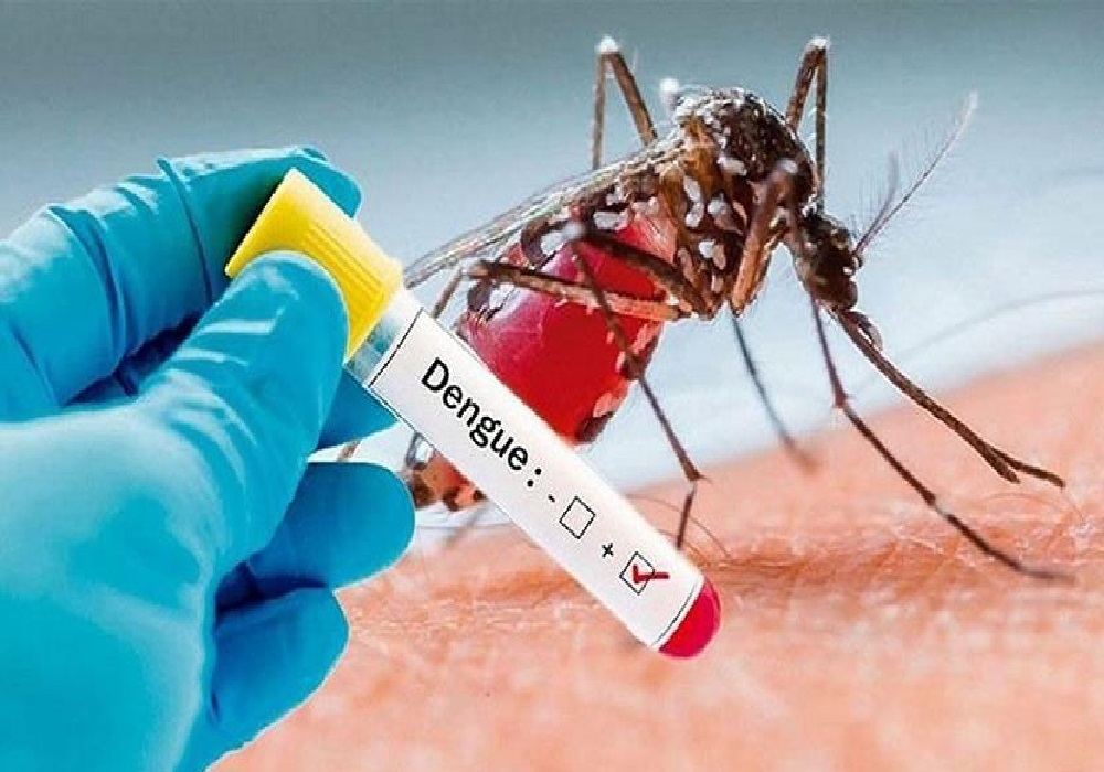कोरोना के साथ ही डेंगू, चिकनगुनिया के प्रकोप से कैसे करें बच्चों का बचाव, जानें डाक्टर की राय