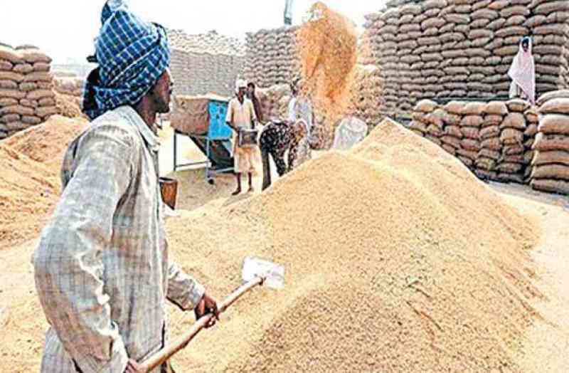 ऐसे किसान नहीं बेच पायेंगे धान, कार्ड दुरुस्त करने की अवधि 17 तक बढ़ाई गई