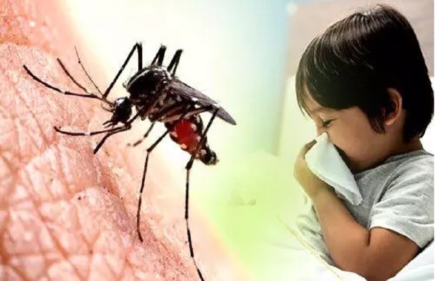 mosquito borne diseases