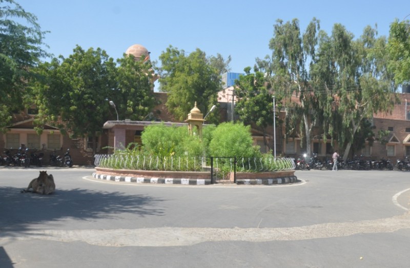 Panchayati Raj election Barmer