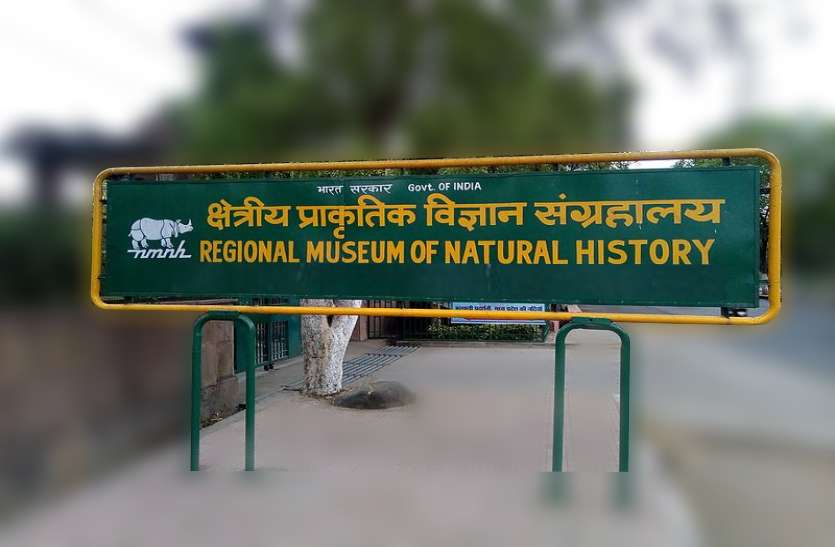 museum_of_natural_history1.jpg