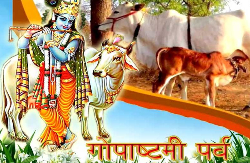 Importance Of Gopashtami Worship Of Cow Gau Mata Puja Vidhi