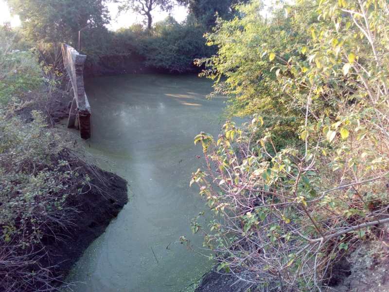 नगर परिषद की अनदेखी से छीपाबड़ का वर्षों पुराना नीलकंठ सरोवर हो रहा बदहाल