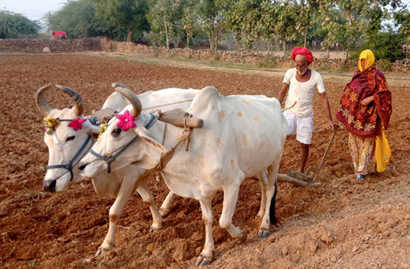 बीसलपुर बांध से सिंचाई के लिए टूट रही आस, किसान कर रहे बुवाई